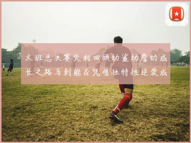 文班总决赛失利回顾幼鲨幼詹的成长之路马刺能否凭借独特性逆袭成功